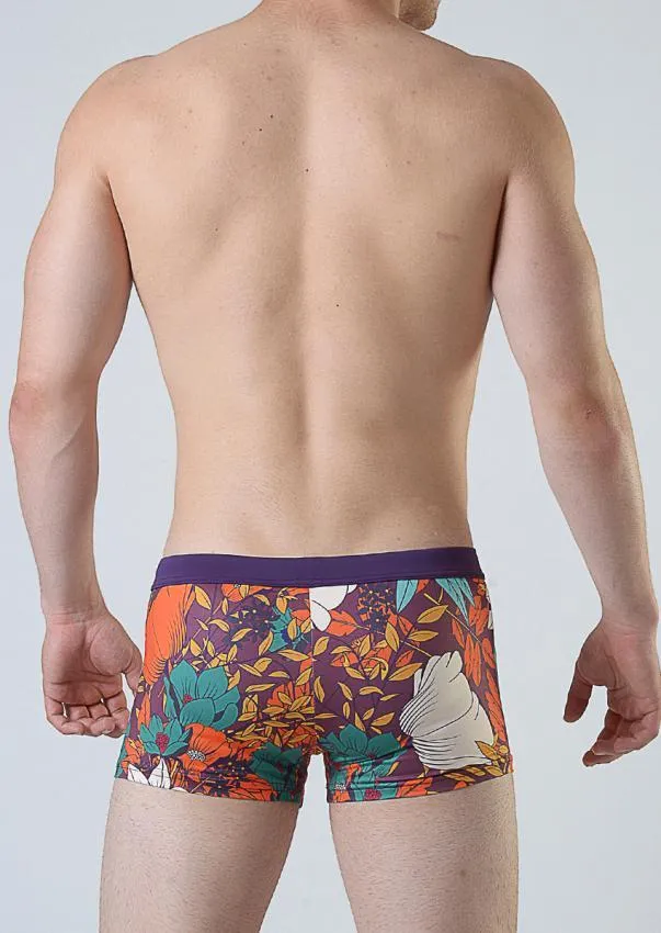 Swimming boxer 1801b1